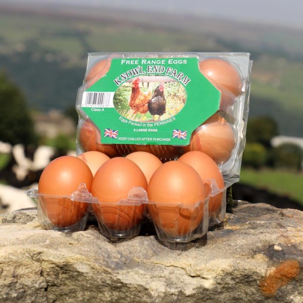  12 EGGS - FREE RANGE (DOZEN)